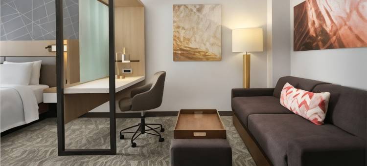 杰克逊维尔贝梅多斯SpringHill Suites酒店(SpringHill Suites Jacksonville Baymeadows)图片