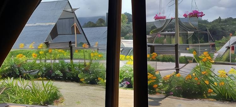 金马伦高原后院豪华露营酒店(The Backyard Glamping Cameron Highlands)图片