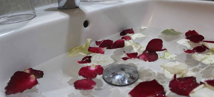 芝勒贡绿色酒店(Greenotel Cilegon)图片