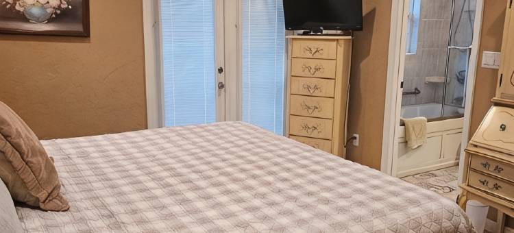 Pet Friendly Luxury St Petersburg Home Monthly Rental or Less图片