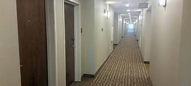 白宫舒适酒店(Comfort Inn White House)图片