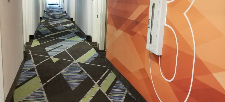 智选假日套房酒店基尔戈北(Holiday Inn Express & Suites Kilgore North)图片