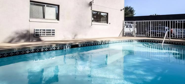 罗德威酒店阿波普卡南部(Rodeway Inn Apopka South)图片