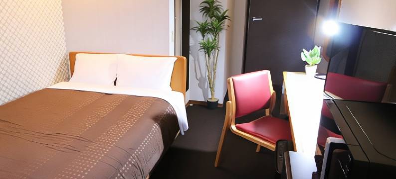 利夫马克斯经济型酒店-宇都宫店(HOTEL LiVEMAX BUDGET Utsunomiya)图片