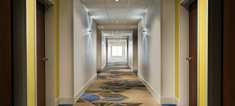 威廉斯堡智选假日酒店(Holiday Inn Express Williamsburg)图片