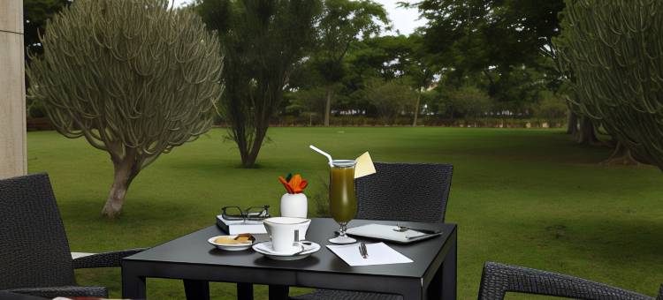 恩贾梅纳莱杰广场酒店(Ledger Plaza Hotel N'Djamena)图片