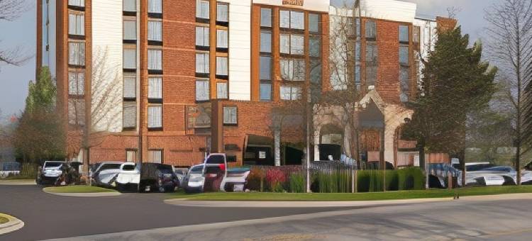 芝加哥内珀维尔/沃伦维尔SpringHill Suites酒店(SpringHill Suites Chicago Naperville/Warrenville)图片