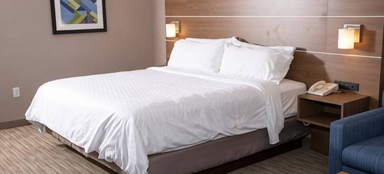 洲际酒店集团托莱多西拿破仑智选假日酒店(Holiday Inn Express Toledo West - Napoleon, an IHG Hotel)图片