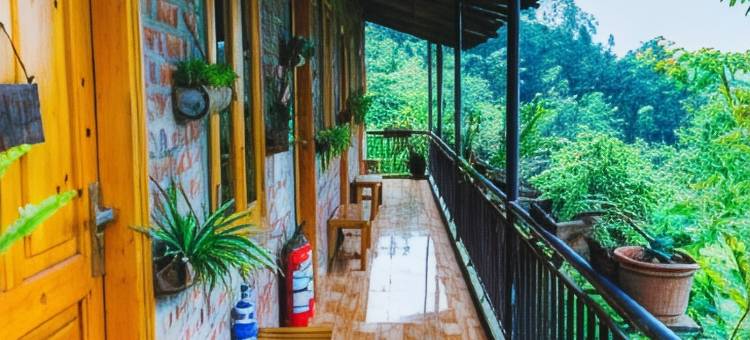 林克农家乐(The Link farmstay)图片