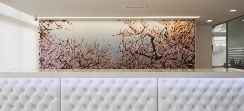 帕盖拉的威尼斯酒店(Hotel Venecia Paguera)图片