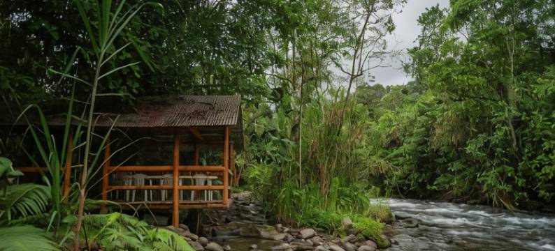 河流之歌的酒店(River Song's Hotel)图片