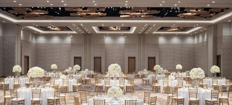 德尔塔万豪酒店-威奇托福尔斯会议中心(Delta Hotels by Marriott Wichita Falls Convention Center)图片