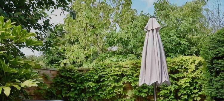 科茨沃尔德水疗酒店(Cotswold House Hotel and Spa - "A Bespoke Hotel")图片