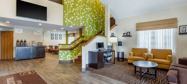 大湖海军基地附近舒眠酒店(Sleep Inn Near Great Lakes Naval Base)图片