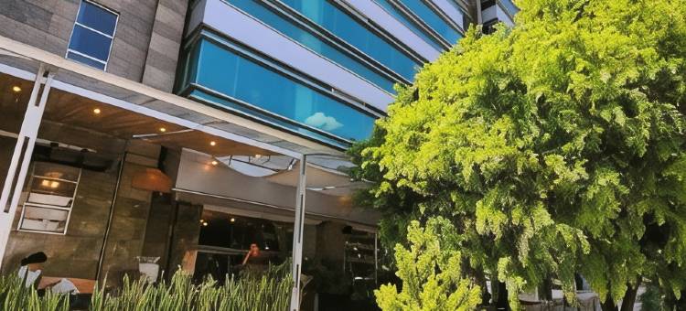 Socialtel Parque 93 Bogota = Socialtel Parque 93 波哥大(Socialtel Parque 93 Bogota - Formerly Selina Parque 93 Bogota)图片