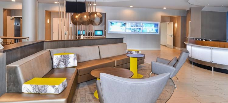 费尔法克斯奥克斯万豪SpringHill酒店(SpringHill Suites Fairfax Fair Oaks)图片