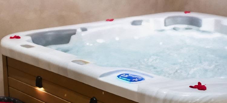 艾哈迈达巴德万丽酒店(Renaissance Ahmedabad Hotel)图片