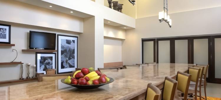 迈克艾伦欢朋酒店(Hampton Inn & Suites McAllen)图片