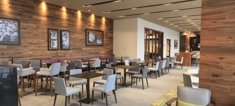 莱昂欢朋酒店(Hampton Inn by Hilton Leon Guanajuato)图片