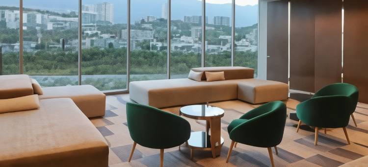 蒙特雷欧比斯帕多希尔顿花园酒店(Hilton Garden Inn Monterrey Obispado)图片