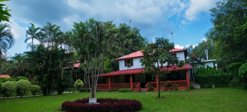 奇特旺天堂酒店(Chitwan Paradise Hotel)图片
