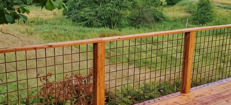 Koppes Mølle B&B - naturnær Overnatning图片