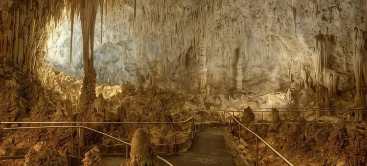 罗德威旅馆卡尔斯巴德洞穴区(Rodeway Inn Carlsbad Caverns Area)图片