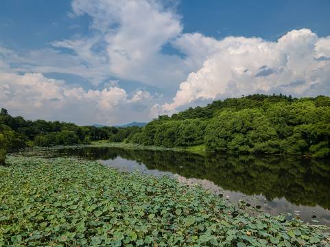 福建鲤鱼洲酒店图片