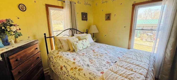 Our 80-Acre Farm, Lake, Nature Trail, Bonfires, Starry Nights  2 Miles Grafton图片