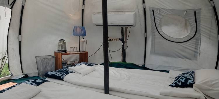 布拉沃探险露营地(Bravo Adventure Glamping)图片