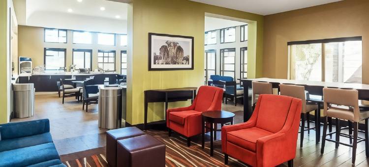 西北达拉斯爱田附近舒适全套房酒店(Comfort Suites NW Dallas Near Love Field)图片