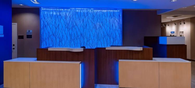 亚特兰大桃树市万枫酒店(Fairfield Inn & Suites Atlanta Peachtree City)图片