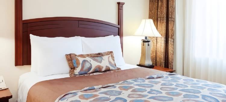达勒姆教堂山RTP Staybridge Suites(Staybridge Suites DURHAM-CHAPEL HILL-RTP by IHG)图片