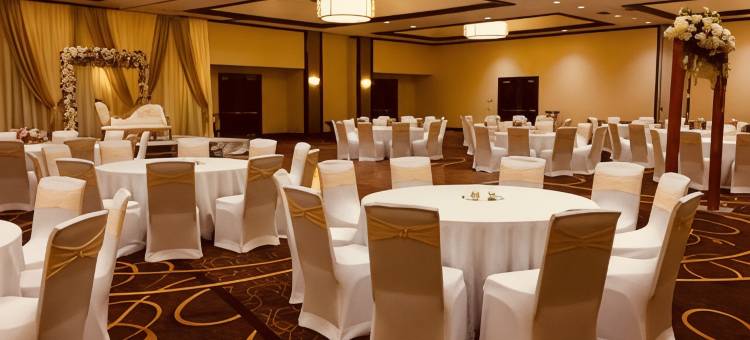 印第安纳波利斯喜来登酒店(位于凯斯通克罗星)(Sheraton Indianapolis Hotel at Keystone Crossing)图片
