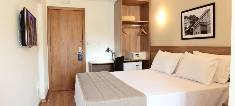 诺比尔酒店茹伊斯迪福拉(Nobile Hotel Juiz de Fora)图片