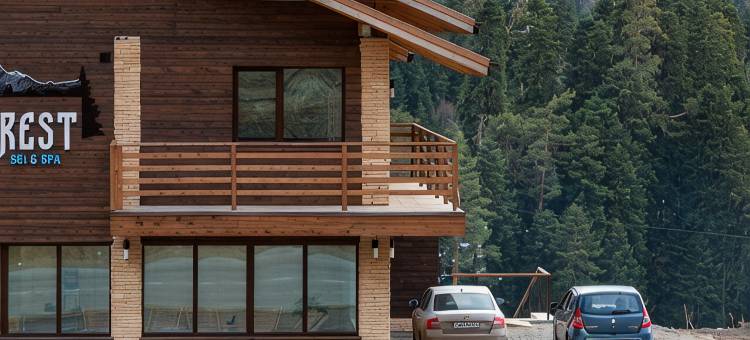 Chalet Forrest图片