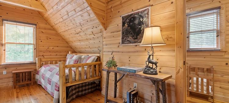 距蓝岭市中心数分钟静谧温馨-宠物友好-山间度假木屋(Tucked Away, Cozy-Pet Friendly-Mountain Getaway Minutes to Downtown Blue Ridge)图片