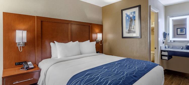 纳什维尔-欧普兰区舒适酒店(Comfort Inn Nashville - Opryland Area)图片