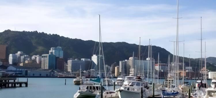 兰姆顿探索酒店(Quest on Lambton Serviced Apartments)图片