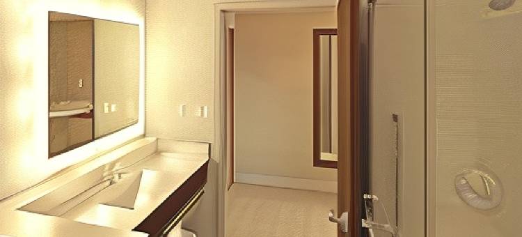 智选假日套房酒店-新奥尔良南查尔梅特-洲际酒店集团旗下(Holiday Inn Express & Suites Chalmette - New Orleans S by IHG)图片