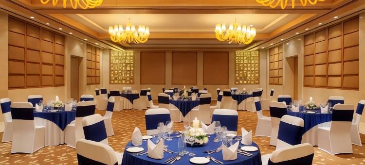 新德里德瓦卡丽笙酒店(Radisson Blu New Delhi Dwarka)图片