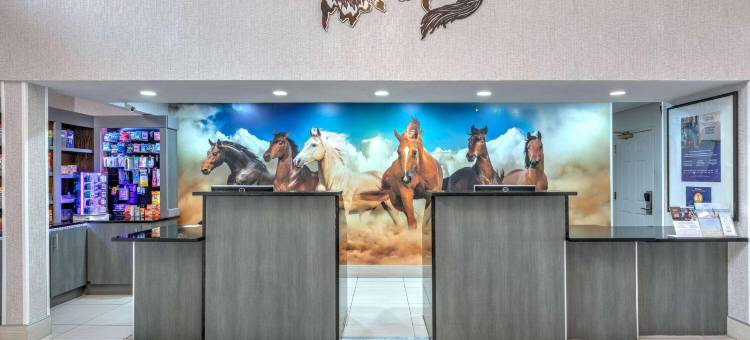 威德福拉昆塔温德姆套房酒店(La Quinta Inn & Suites by Wyndham Weatherford)图片