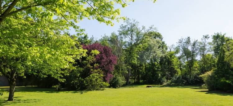 皮蒂维耶舒适酒店(Comfort Hotel Pithiviers)图片