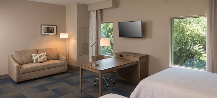 北卡罗来纳州阿什维尔比尔特摩村希尔顿欢朋酒店(Hampton Inn & Suites Asheville Biltmore Village)图片