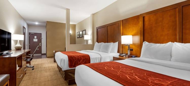 舒适套房酒店-拉威斯达奥马哈(Comfort Suites)图片