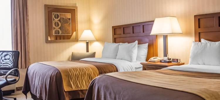 韦瑟斯菲尔德哈特福德舒适酒店(Comfort Inn Wethersfield - Hartford)图片