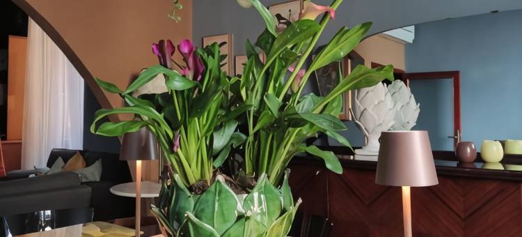 28 号民宿(al 28 B&B)图片