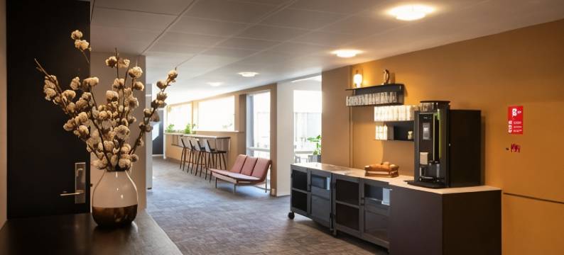 斯坎讷堡公园酒店(Skanderborg Park)图片