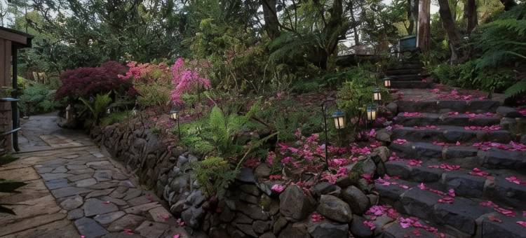 林登花园雨林度假酒店(Linden Gardens Rainforest Retreat)图片