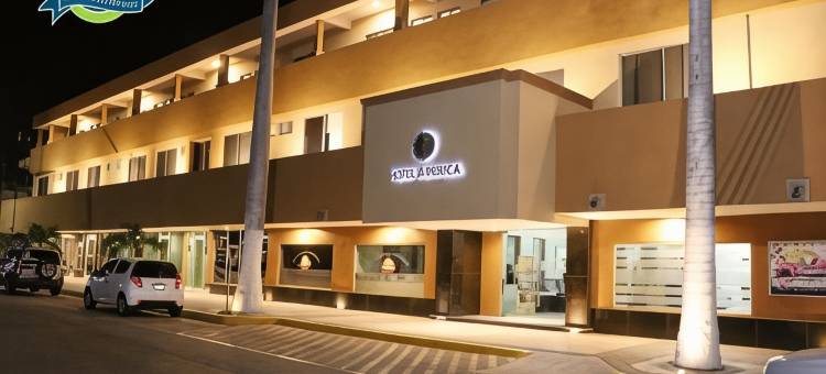 阿美里加帕拉西奥酒店(Hotel America Palacio)图片